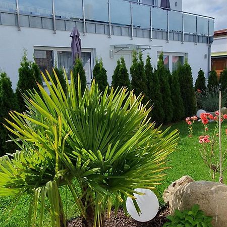 Ferienwohnungen "Godewind", Appartements Mit Balkon Oder Terrasse زينوويتز المظهر الخارجي الصورة
